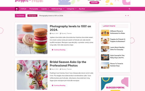 Blogger Portal