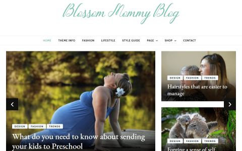 Blossom Mommy Blog