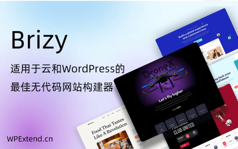 Brizy 非技术人员的最佳自助建站工具