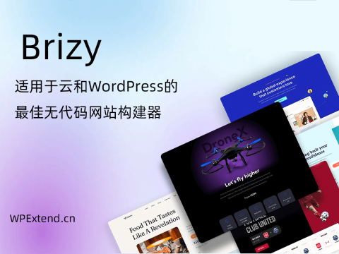 Brizy-PRO 高级页面构建器