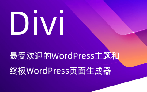 Divi主题最受欢迎的WordPress主题和终极可视化页面生成器