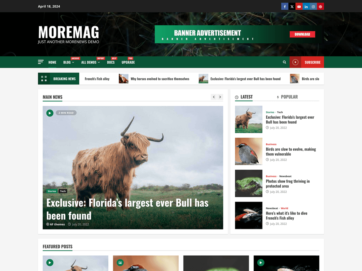 MoreMag