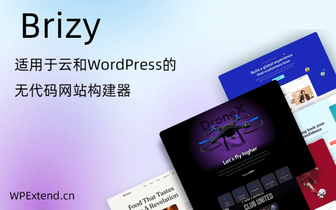 Brizy 非技术人员的自助建站工具