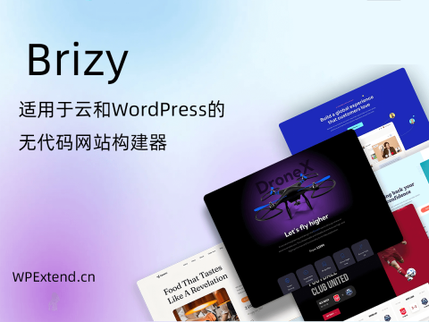 Brizy-PRO 高级页面构建器